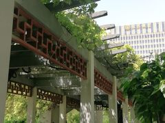 -郑和公园