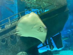 -福州罗源湾海洋世界旅游区