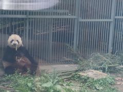 -黔灵山公园