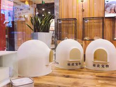 -袖虎·猫馆(体育西路店)