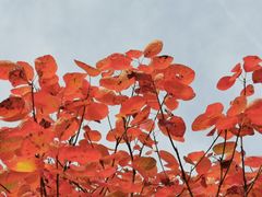 -北京十三陵国家森林公园蟒山景区