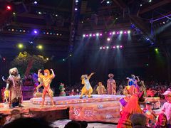 -奥兰多迪士尼动物王国乐园