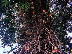 -柬埔寨国家博物馆