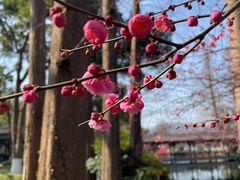 -浙江西子宾馆·瑶园咖啡厅