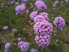 -杭州城北体育公园