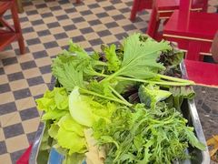 -金鼎雪山牦牛杂火锅(理县总店)