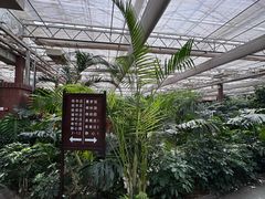 -春满园生态餐厅(南宫路店)