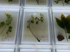 -广东中医药博物馆