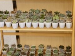-海底捞火锅(泰安爱琴海店)