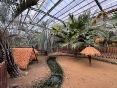 -呀路古热带植物园