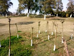 -艾溪湖湿地公园