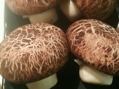 -炭舍干锅·烤鱼(扬名广场店)