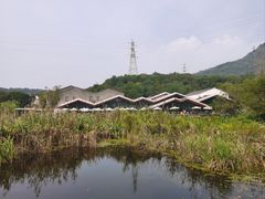 -西湖风景区-江洋畈生态公园