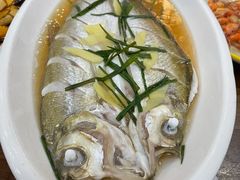 清蒸白鱼-观桥阁(锦溪店)