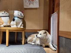 -大江户·温泉洗浴(浑南店)