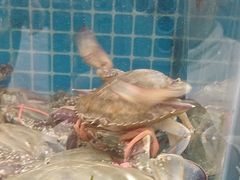 -渔码头食府(蓬莱阁店)