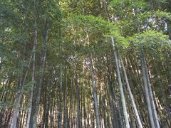 -穹窿山景区