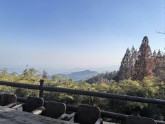 -莫干山风景区