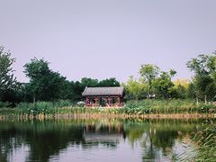 -西海子公园