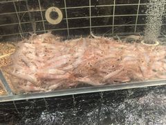 -浩运海鲜·16年专注青岛菜(石老人店)