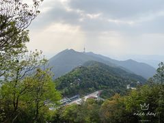 -梧桐山风景名胜区