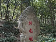 -上海佘山国家森林公园天马山园