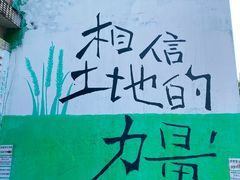 -黄桷坪涂鸦艺术街