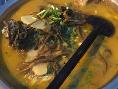 -风鑫铃罗非鱼(道沟店)