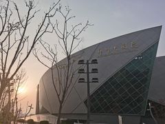 -郑州大剧院