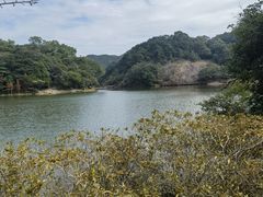 -广州市石门国家森林公园