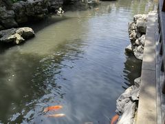 -豫园