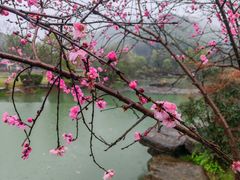 -桃花岭景区