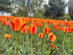 -长春公园(普阳街道)