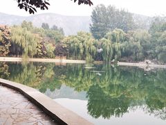 -山东艺术学院(长清校区)