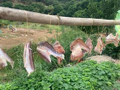 -百里鲜(羚羊峡古栈道森林公园店)
