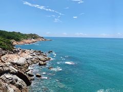 -广东惠东海龟国家级自然保护区