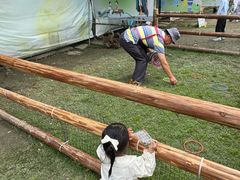 -洪湖家庭农场·团建·露营·会议