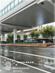 -潘多拉Hairsalon