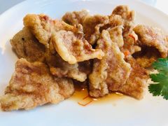 -陈家老院子(高新店)