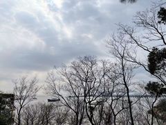 -汤山公园
