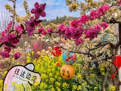 -桃源山庄·水蜜桃采摘·柴火鸡·烧烤团建(龙泉山店)