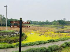 -涞滩古镇