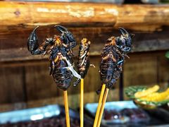 -昆虫窝子·特色云南菜(拓东路总店)