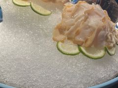 大象蚌姿造拼-1718海鲜姿造(苏宁宴请臻选店)