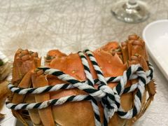 -苏启渔港(云南北路店)