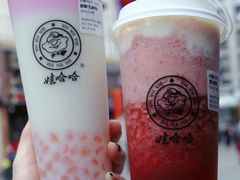 -娃哈哈·奶茶(武林店)