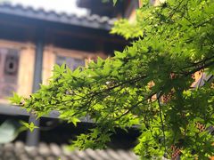 -鱼桥巷·美学川菜