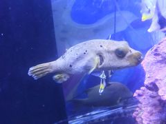-五缘湾悦都汇购物中心