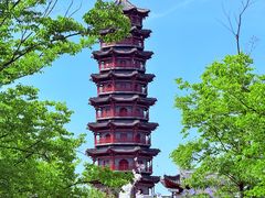 -江苏三台山国家森林公园