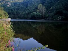 -仙居谷风景区
